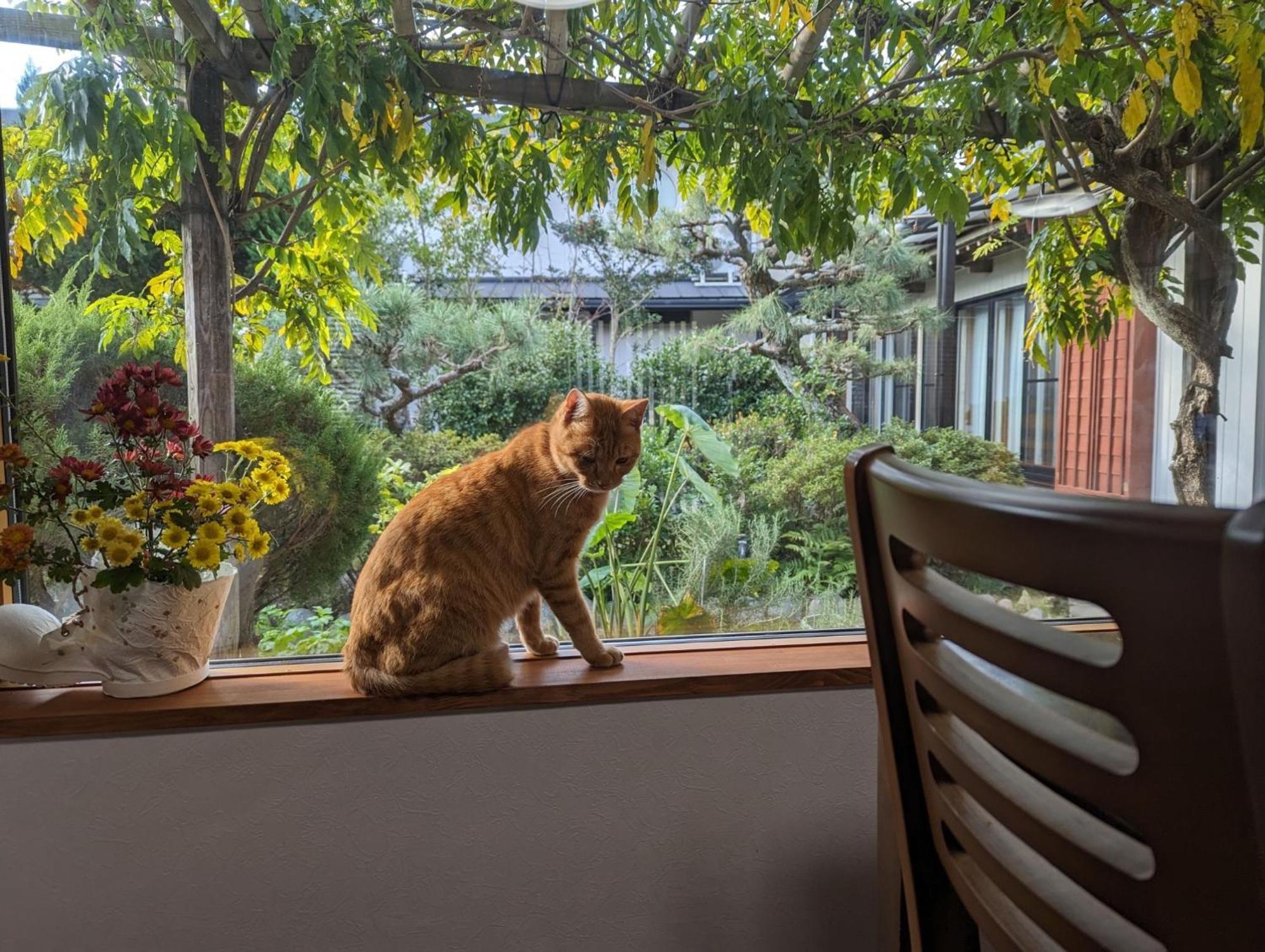 Guest House Ki-Zu - Vacation Stay 94978V Nishio Luaran gambar